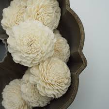 Easy to grow and perennial they belong to the daisy family. Marigold Bulk Wholesale 100 Pack Sola Wood Flowers Oh You Re Lovely