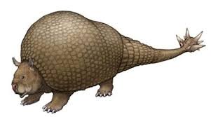 Doedicurus Prehistoric Animals Mammals Prehistoric