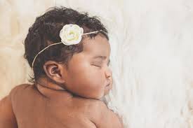 Laura Sokol Photography