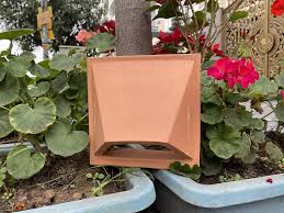 Gạch Bông Gió Chống Mưa | Bông Gió Bánh Ú 2025 - Gạch Bông Việt Nam