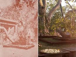 Jaya Sri Maha Bodhi Wikipedia Product launches and design inspiration from calico wallpaper. jaya sri maha bodhi wikipedia