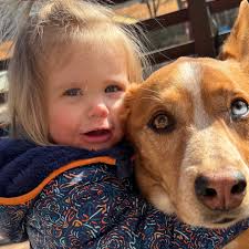 Fundraiser for Caleb Couch by Megan Richardson : Save Tucker, the Best Big  Brother Pup