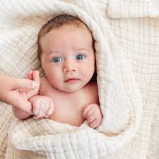 Profile for Caitlin Holli Photography