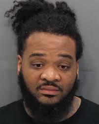 Alleged brother sister crime duo and sex offender admit to planned robbery 