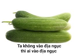 Gud Meme Everyday added a new photo. - Gud Meme Everyday