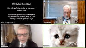 The most comprehensive image search on the web. Not That Cat Attorney Who Transformed During A Burn Trial World Today News
