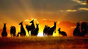 There are not many destinations where i sit and think, 'i could see myself here long term.'. A Complete Guide Travelling The East Coast Of Australia