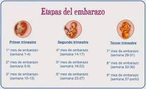Cuantas Semanas Cuantos Meses Son Club Noviembre 2016 Babycenter