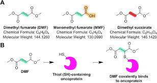 Image result for Dimethyl Fumarate