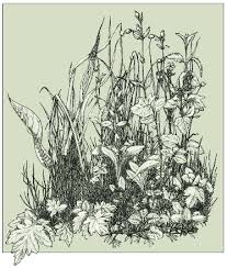 Biodiversity And Ecosystem Function The Debate Deepens Science All of these climate drawing ecosystem resources are for free download on yawd. ecosystem function the debate deepens
