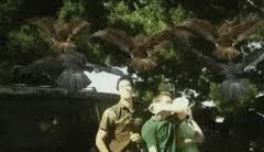 The opening scene of an action movie has the opportunity to start the story off with a bang. Top 30 Best Action Scene Gifs Find The Best Gif On Gfycat