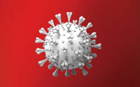 Todos os provenientes da índia. Primeiro Caso Da Variante Indiana Do Coronavirus No Brasil E Confirmado Brasil O Dia