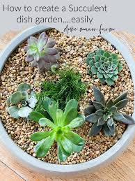We did not find results for: How To Create A Succulent Dish Garden Duke Manor Farm