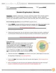 Many organisms package these cells into gametes, such as egg and sperm. Student Exploration Meiosis Answer Key Docx Student Exploration Meiosis Answer Key Download Student Exploration Meiosis Vocabulary Anaphase Course Hero