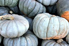 You can even use pumpkin puree as a substitute for butter and oil and eggs as a healthy recipe swap. Identifying And Choosing The Best Types Of Pumpkins
