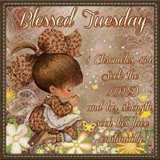 In this page, we also recommend where to buy best selling health care products at a lower price.the store that we recommend also provides shoppers with complete refunds on products that arrive late. Tuesday Blessings And Prayers Images Draw Pewpew