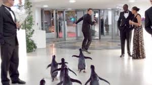 Check out the latest fox family entertainment series dance squad! Mr Popper S Penguins Clip Penguins Surf The Guggenheim