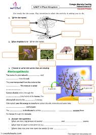 Plant Kingdom Interactive Worksheet In 2020 Science And Nature Plants Worksheet Maker