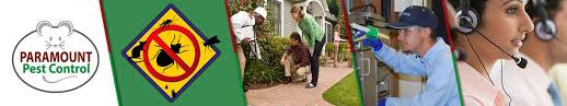 What types of pests do exterminators cover? Pest Control Dubai Exterminator Paramount Pest Control Services