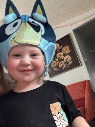 Halloween question: I was thinking of doing Bluey as our family costume  because my little guy loves Bluey. But my husband thinks if we do it we  should do maybe Luckys family