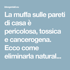La Muffa Sulle Pareti Di Casa E Pericolosa Tossica E Cancerogena Ecco Come Eliminarla Naturalmente E Per Sempre Idee Geniali Pareti Casa Naturale Case