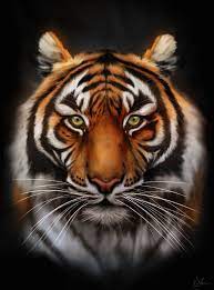 Save The Tiger By Sven Werren On Deviantart Digital Painting Tiger Animalart Art Tiger Pictures Save The Tiger Big Cats Art