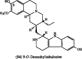 Image result for Erythroxylum