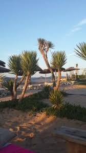Babaloo Beach Casablanca Favorite Places Nature Places