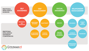 Golemanei Com Emotional Intelligence Coaching And Training Emotional Intelligence Emotional Intelligence Leadership Leadership Competencies