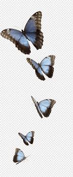 Download premium vector of blue butterflies patterned mobile phone wallpaper vector by kul about watercolor mobile phone wallpaper, background Butterfly White Blue Butterfly Blue Antiquity Brush Footed Butterfly Png Pngwing