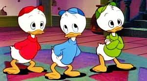 They are identified by three primary colors; Do You Know Why Huey Dewey Louie Stayed With Donald Duck Here S What Happened To Their Parents