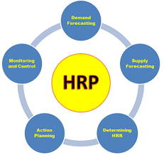 human resource planning hrp in garment industry textile