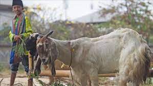 The night of power, one of the last 10 nights of ramadan, is the holiest night of the year. Indonesia Malaysia To Celebrate Eid Al Adha On July 31