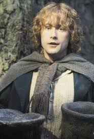Peregrin Tuk | Salogels Wiki | Fandom
