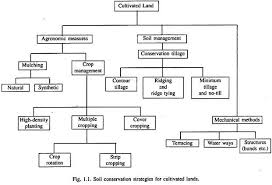 essay on soil conservation india soil management