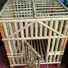 Warna bulunya bervariasi dan memiliki ciri yang berbeda. Kandang Ayam Bangkok Hewan Peliharaan 814929548