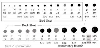 66 surprising buckshot diameter chart