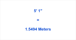 5′ 1″ to Meters – What is 5 Feet 1 in Meters?