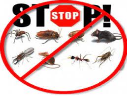 We offer termite and rodent inspections as well as general pest control treatments for. Allcare Pest Control Services Home Facebook