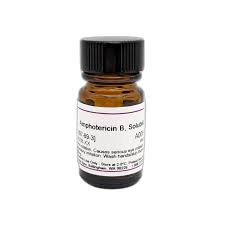 Image result for Amphotericin B