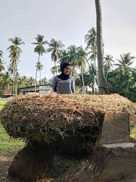 Bukit bendera, satu tempat menarik di penang yang sangat ikonik & sangat popular sejak zaman berzaman. Kreatif Tarikan Terbaru Di Seberang Perai Penang Tempat Menarik