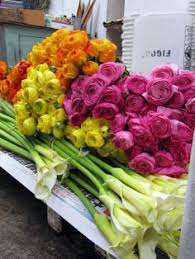 Maybe you would like to learn more about one of these? 52 May Flowers In The Sffm Ideas May Flowers Flowers Flower Mart