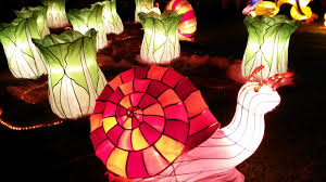 The Auckland Lantern Festival Is Celebrated On The First Full Moon Following The Chinese New Year Th Chinese Lantern Festival Chinese Lanterns Paper Lanterns