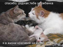 спасибо, родная,тебе зж ребенка Kotomatrixfru / котоматрица / смешные  картинки и другие приколы: комиксы, гиф анимация, видео, лучший  интеллектуальный юмор.
