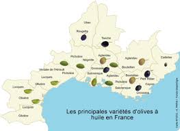 Varietes D Olives En France Huilearium
