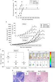 Quality confirmed by nmr & hplc. Plos One Chronic Dietary Administration Of The Glycolytic Inhibitor 2 Deoxy D Glucose 2 Dg Inhibits The Growth Of Implanted Ehrlich S Ascites Tumor In Mice