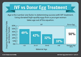 Donor Egg Success Rates Faqs