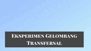 Dalam selang waktu 0,3 sekon antara a dan b. Eksperimen Tentang Gelombang Transversal Youtube