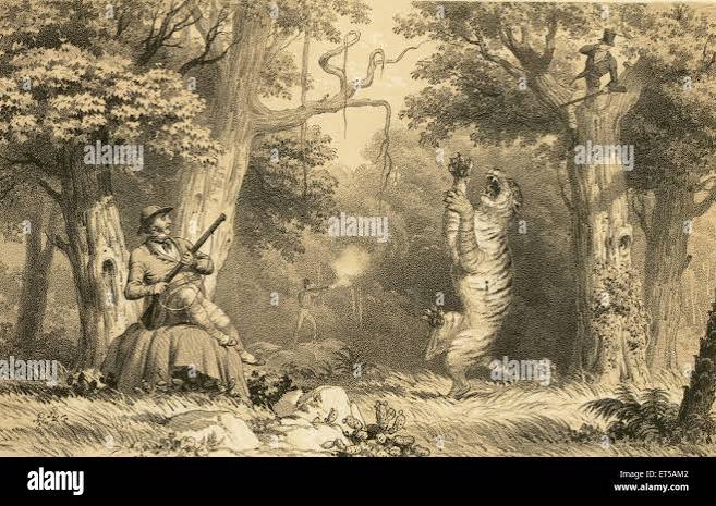 Tiger hunting in India, British Royalty, old vintage 1800s picture Stock Photo - Alamy