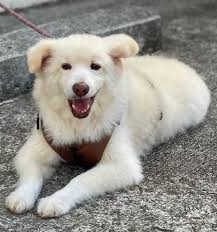 Always ready for the camera🙊😅